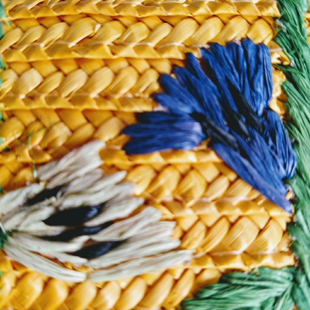 J Crew Clutch Purse - Summer Fun